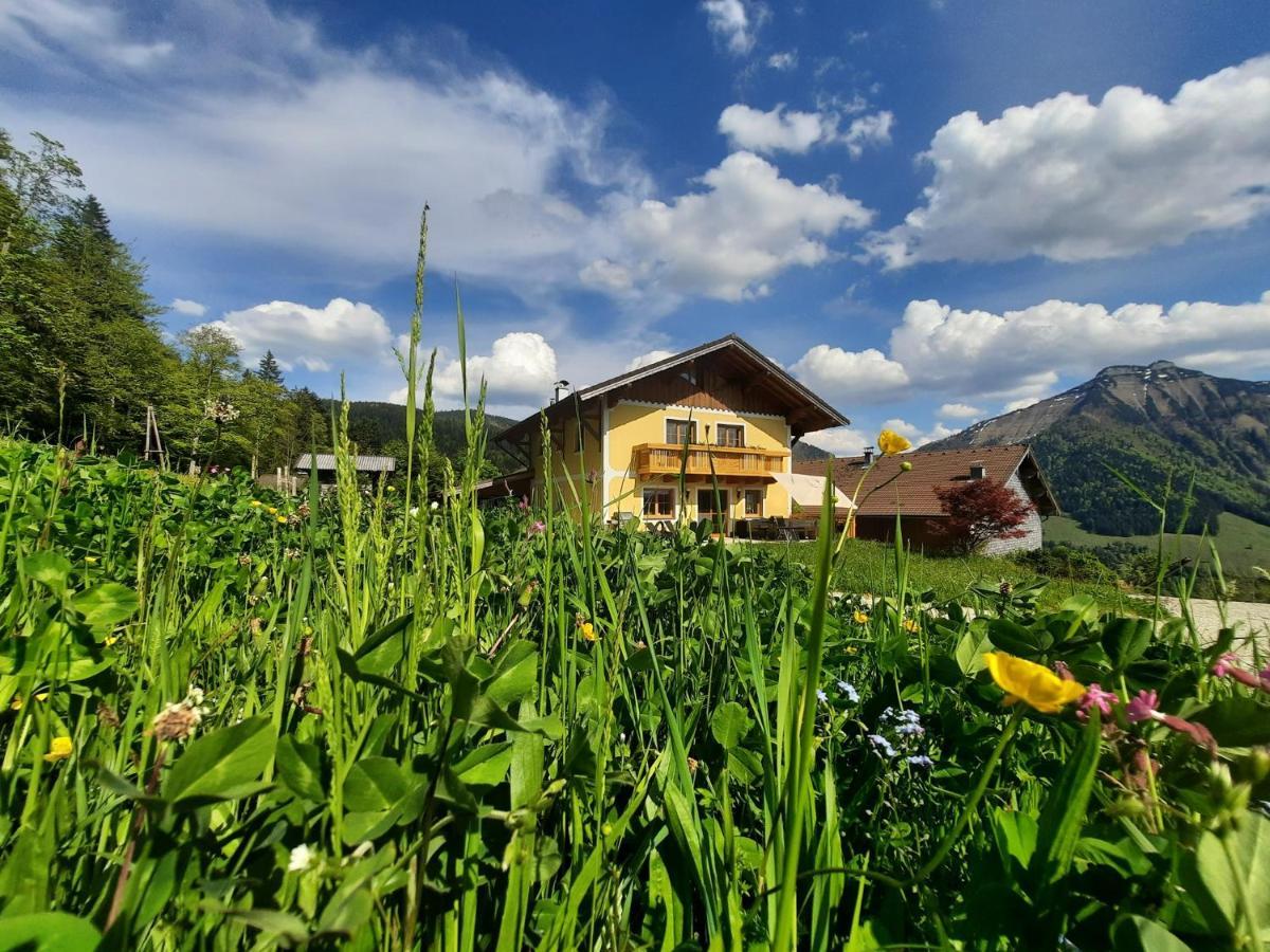 Appartement Reitlhof, Bio Berg Bauernhof Krispl Kültér fotó