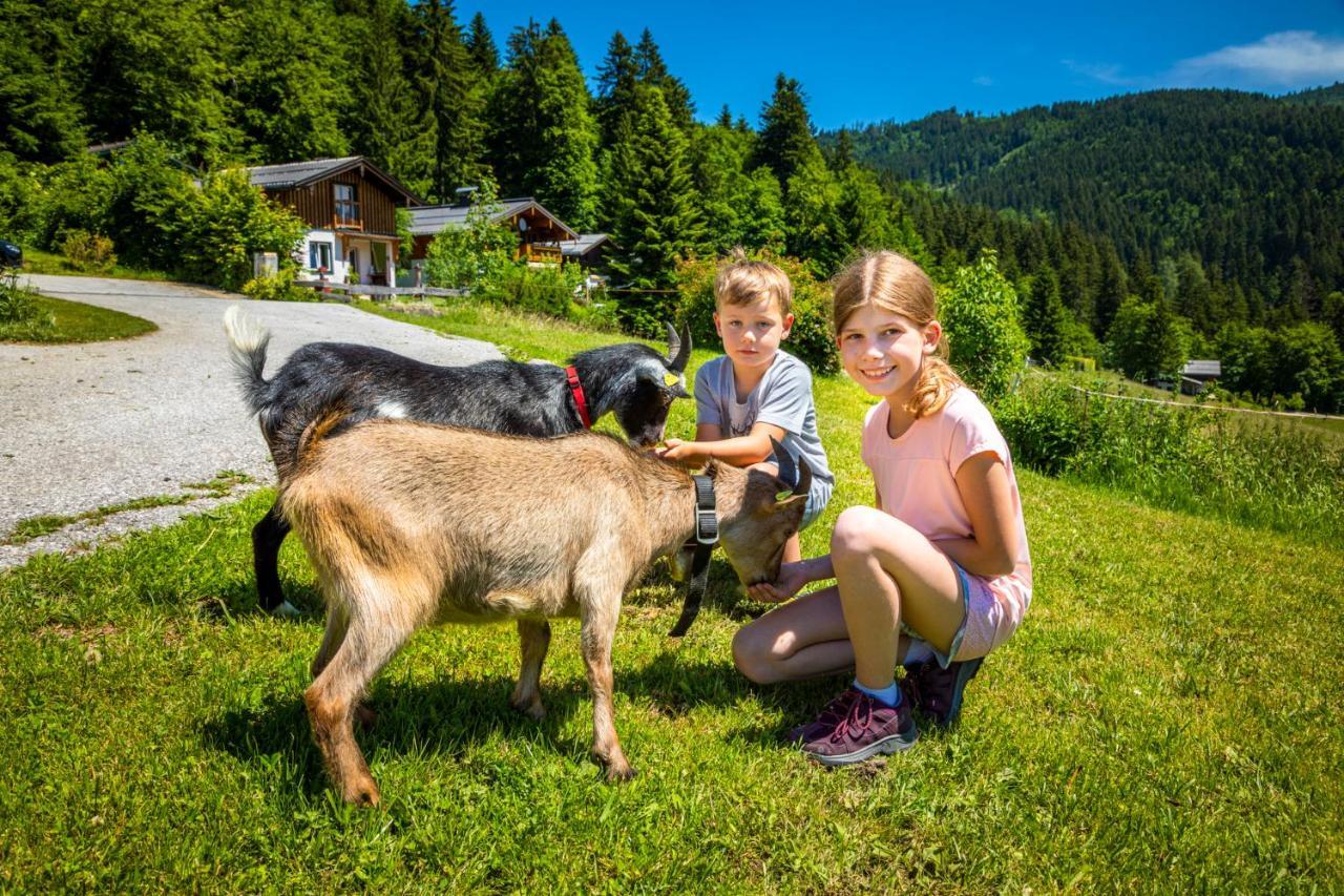 Appartement Reitlhof, Bio Berg Bauernhof Krispl Kültér fotó